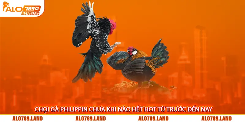 Chọi gà Philippin chưa khi nào hết hot từ trước đến nay