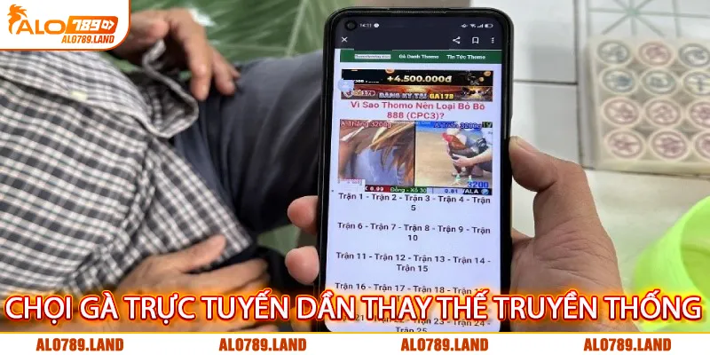 Trò chơi chọi gà trực tuyến dần thay thế loại hình truyền thống