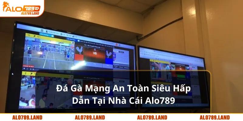 đá gà mạng alo789