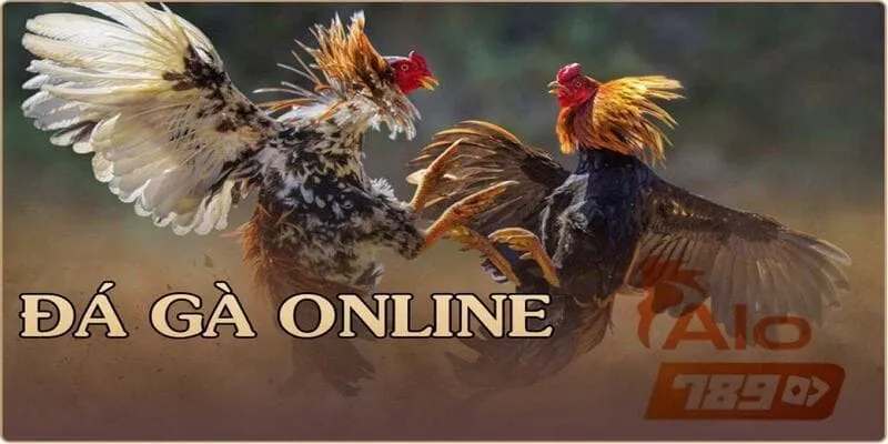 Lưu ý cần biết trong kinh nghiệm đá gà online